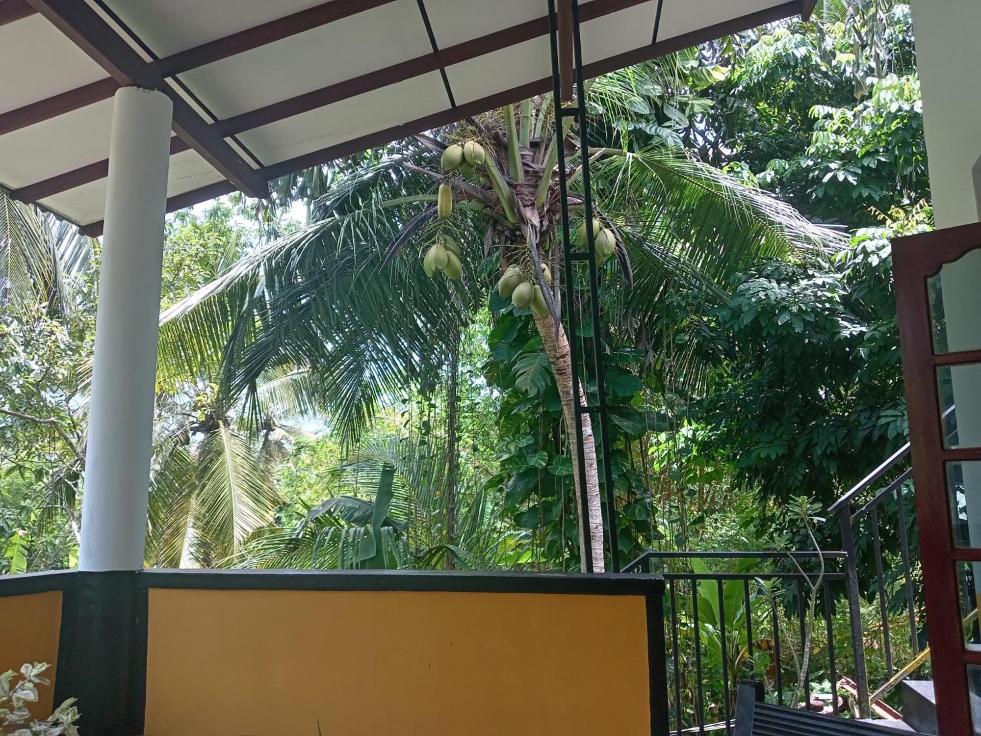 Freedom House Villa Unawatuna Bagian luar foto