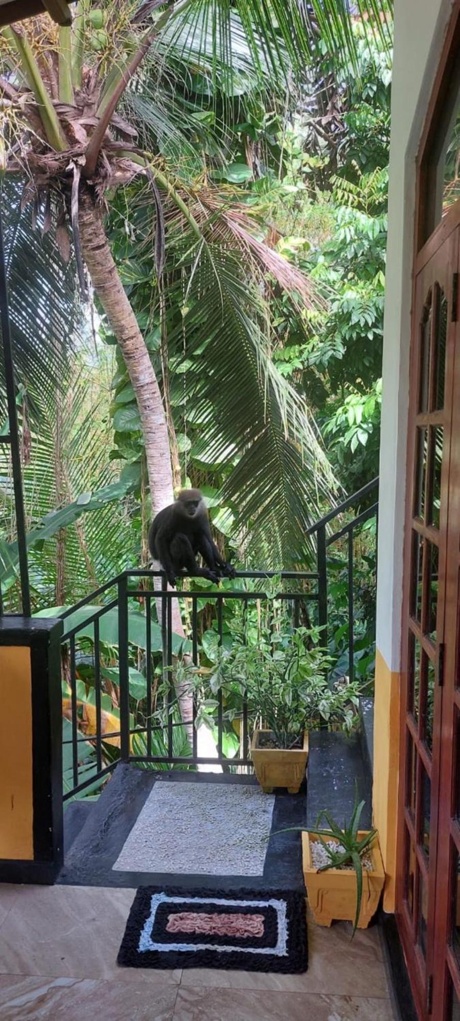 Freedom House Villa Unawatuna Bagian luar foto
